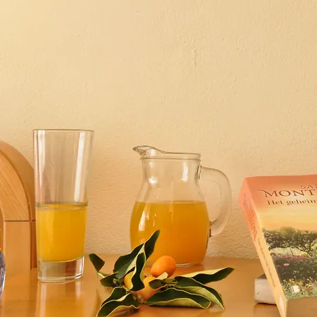 Lido Sofia Holidays 3*